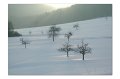 Winter M 07